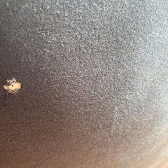 ヨギボー　MAXの画像