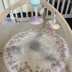 aden+anais（エイデンアンドアネイ）アクティビティジムの画像