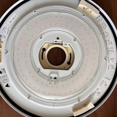 DAIKO 大光電機 シーリングライト DCL-38459Yの画像