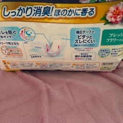 
大人用パット　4回分リリーフ   30枚入り2袋セットの画像