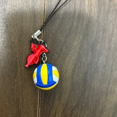 バレーチーバくんキーホルダーの画像