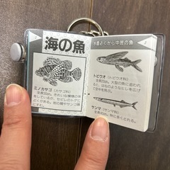 おもちゃの画像