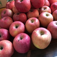 青森産りんご🍎の画像