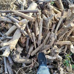 ◆薪(マキ)早い者勝ち【2025年伐採原木】【引取り限定】◆【薪ストーブの薪のストックに！】【用途】薪ストーブ◆暖炉◆キャンプ◆バーベキュー◆焚火◆ピザ窯 ★お得！No1の画像