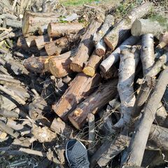 ◆薪(マキ)早い者勝ち【2025年伐採原木】【引取り限定】◆【薪ストーブの薪のストックに！】【用途】薪ストーブ◆暖炉◆キャンプ◆バーベキュー◆焚火◆ピザ窯 ★お得！No1の画像