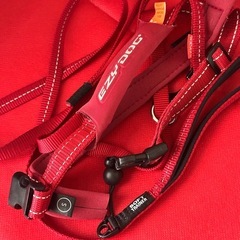 中型犬用 EZYDOG(Sサイズ)等ハーネスリード4点セットの画像