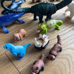 アニア50点ほどの画像