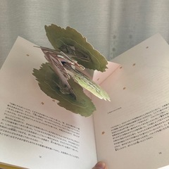 星の王子さま　新品近いの画像