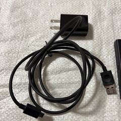 Amazon ファイヤースティックTVの画像