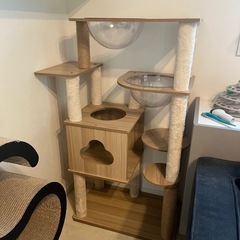キャットタワーの画像