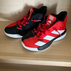 18cm バスケットシューズ
の画像