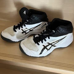 20cm  バスケットシューズの画像