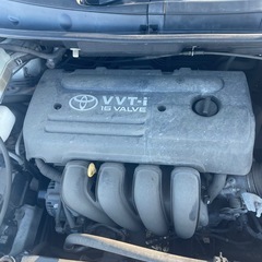 ウィッシュの画像