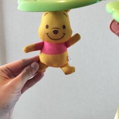 プーメリーの画像