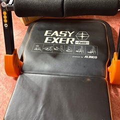 GYP1231 ALINCO アルインコ イージーエクサツイン EXG057 の画像