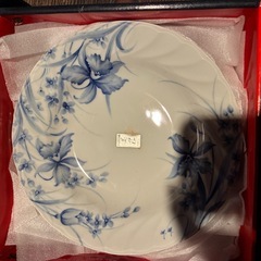 美濃焼　平皿4枚　スプーン5本セット　未使用品 の画像