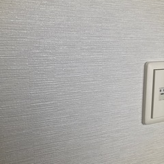 壁紙　のりなし①
の画像