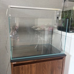 水槽セットの画像
