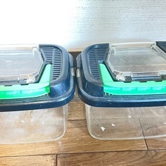 虫カゴ　2個セットの画像