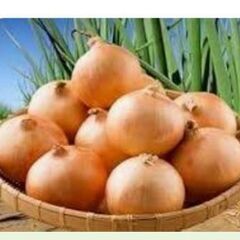 冬休みを乗り切る食材を譲っていただきたいです。不要なお歳暮…