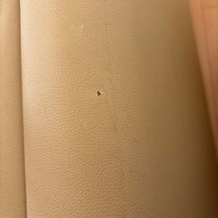 折りたたみエステベットの画像