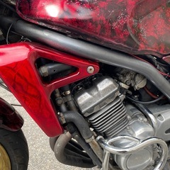 1型バリオスの画像