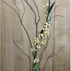 植栽インテリア　約125cmの画像