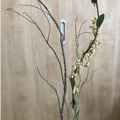 植栽インテリア　約125cmの画像