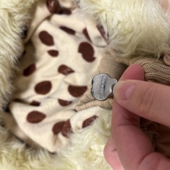 ミキハウス　ダウンの画像