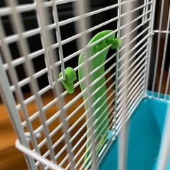 ハムスター　ゲージの画像