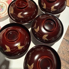 汁腕5個（越前塗 ）　徳利2個　皿2枚　未使用品の画像