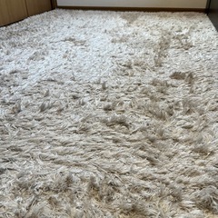 フランフラン　カーペットの画像