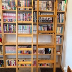 2段ベッドのハシゴのみ　2本の画像