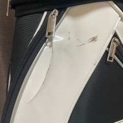 ウィルソンキャディバックの画像