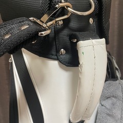 ウィルソンキャディバックの画像
