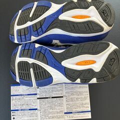 MIZUNOスポーツシューズ 25.0cmの画像