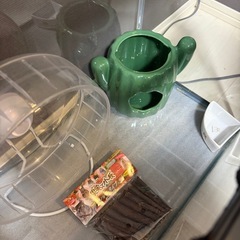 ハムスター飼育セットの画像