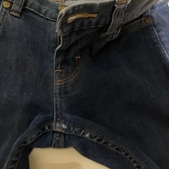 Patagoniaジーンズの画像