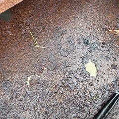 バーベキューのカマの画像