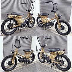 ホンダ スーパーカブ 50cc 3速 キック レオパード
ヒョウの画像