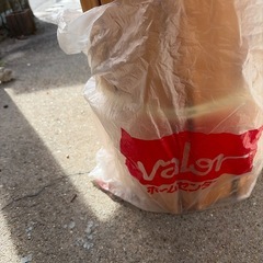 木　アウトドア　フマキラー冷気で瞬殺の画像