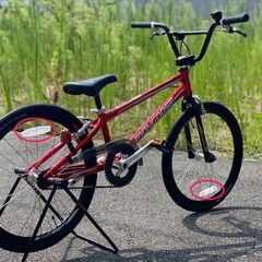 【引取希望】ジュニアサイズBMX（マングース）【美品】の画像