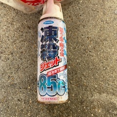 木　アウトドア　フマキラー冷気で瞬殺の画像