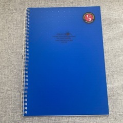 ルーズリーフ約80枚+リヒトラブリングノート29穴の画像