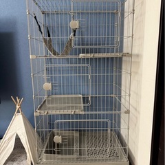 タンスのゲン 猫ゲージの画像