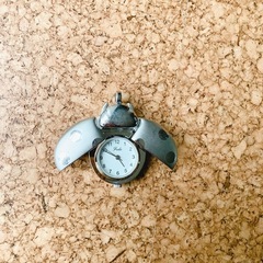 不用品ピアス、ネックレス、イヤリング、ウォッチのセット 計6個の画像