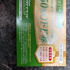 高鷲、ダイナランド共通リフト券半額券の画像