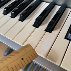 Yamaha Electone STAGEA ELB-01の画像