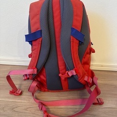 REI Co-op TARN 12｜子ども用 バックパックの画像