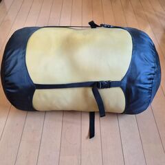 ＴＡＲＡＳＢＯＵＬＢＡマミーシェルフ－１７度　「美品中古品」の画像